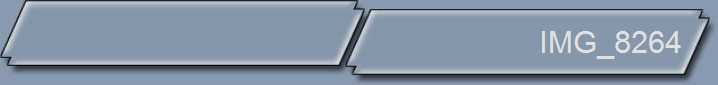 IMG_8264